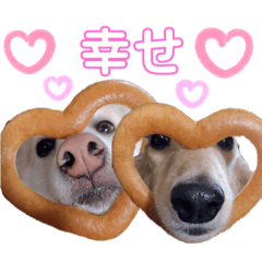 マロン＆プリン〜アクア＆アロマもいるよ〜