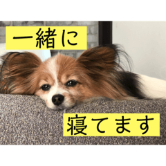 さんさんとおび