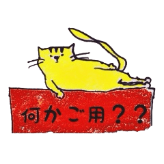 黄色い猫、トムの生活