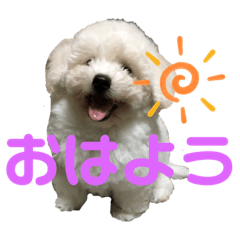 ビションだいふく