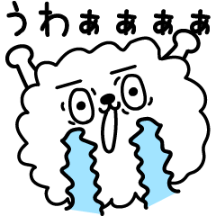 モコモコのポメ少しふざける