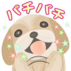 ラブリー☆シーズー