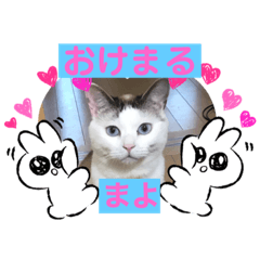 わしのスタンプなのだ！