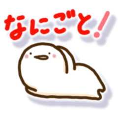 まんまるくんカラー毎日使いやすい