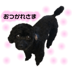 うーちゃんすたんぷだよ