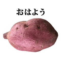 サツマイモ　と　文字