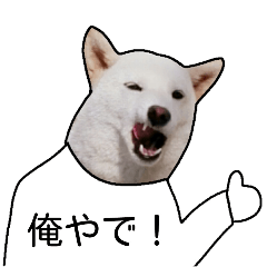 俺やで！ゆかいな柴わんこ