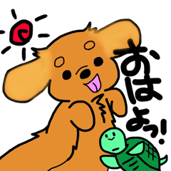 愛犬ティンクと仲良し亀さん