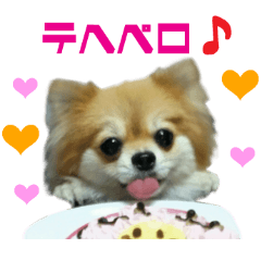 リアルDOG Wan de FULL3 ワンがいっぱい☆
