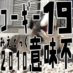 みえどっぐスタンプ コーギーカーディ編 19