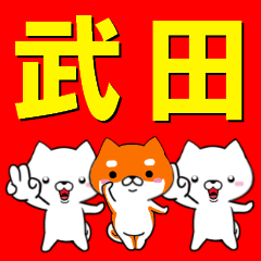 超★武田(たけだ・タケダ)なイヌ