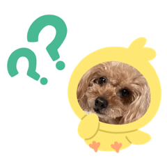 テスカノファミリー