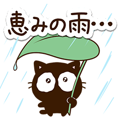 うるうる黒猫３