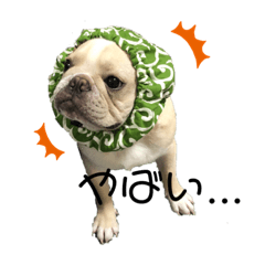 おもちのきもち❤️❤️❤️