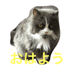 お早う、起きて