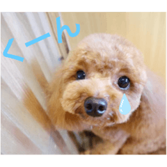 チップとウィル