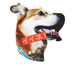 キララあんどクゥ