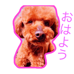 マロ犬スタンプ