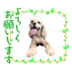 ちゃちゃ丸★kun♪ ②