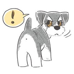 シュナのJuriちゃん　日常スタンプ