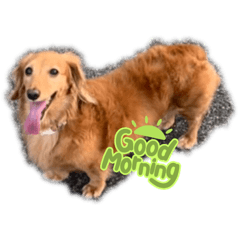 yukinko_20211217175316