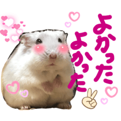 我が家のハム　その2