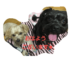 くう＆そら＆ねね