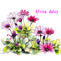 ４０種類の手書きの花（英語名付）