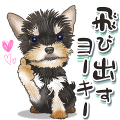 飛び出すヨークシャーテリア（ヨーキー）