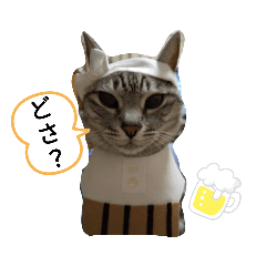 青森のトラちゃん　6 津軽弁