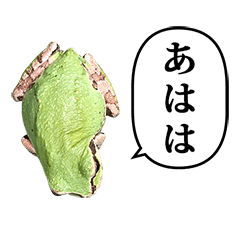 あまがえる　と　ふきだし