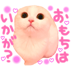 ♡おもちちゃん♡