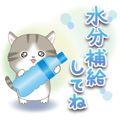 ちびニャンず♡飛び出す夏スタンプ