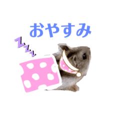 ジャンガリアンのポテト