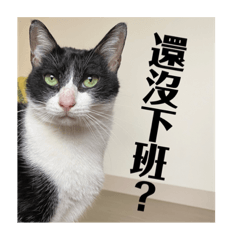 Chao ej_20220709191103