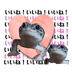 爬虫類　よく使う敬語