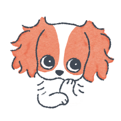 キャバリア生活