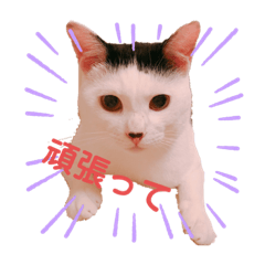 前髪オトちゃん