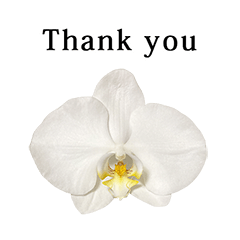 蘭　お花　と　英語　English