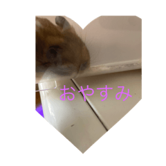 大福さんオリジナルスタンプ