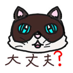 かわいい猫と元気な犬