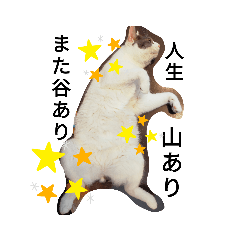 おもしろねこ〰ず★うー・むぎ★スタンプ