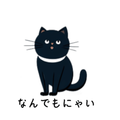 にゃんたの日常にゃ