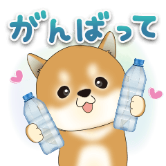 豆柴ちゃんず♡飛び出す夏スタンプ