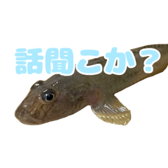 おしゃべりが止まらない！マハゼスタンプ