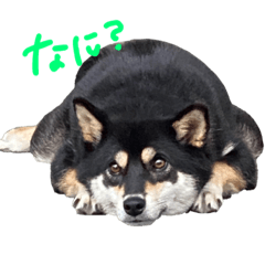 ベベッチベベコのスタンプ