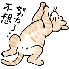 Mimi&#39;s cat life routine