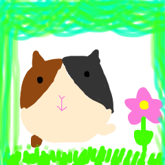 テンジクネズミのモル太