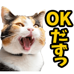 リアル☆にゃんこ（山形弁）