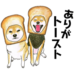 かわいすぎるわんこ達　27